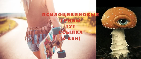 мяу мяу мука Надым