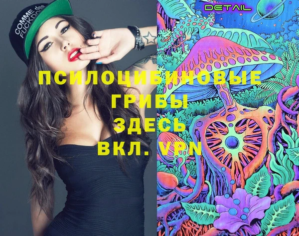 ECSTASY Михайловск