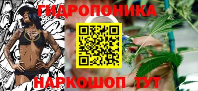 метадон Кингисепп