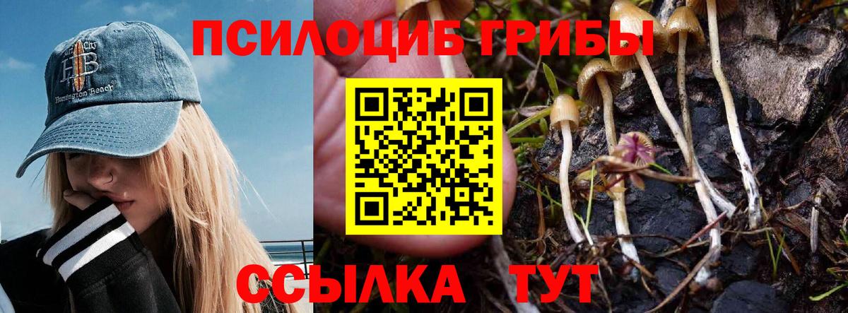 Галлюциногенные грибы прущие грибы Ялта