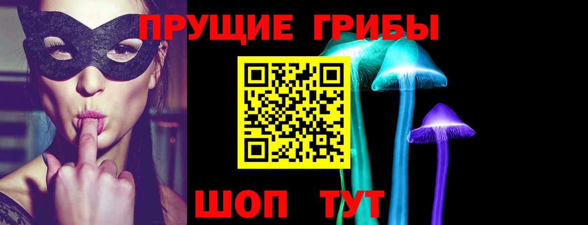 Галлюциногенные грибы Psilocybe  Вход с VPN  Ялта 